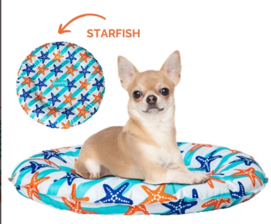 Picture of Freedog Cooling doughnut Starfish - 100% recycled